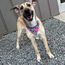 Thumbnail photo of Donita #1