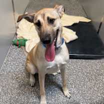 Thumbnail photo of Donita #2