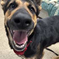 Thumbnail photo of Maurine #3