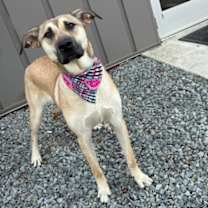 Thumbnail photo of Donita #3