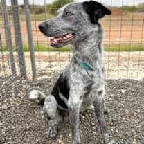 Thumbnail photo of Earl #3