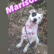 Thumbnail photo of MARISOL #2