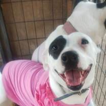 Thumbnail photo of MARISOL #4