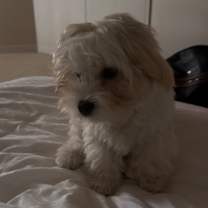 Thumbnail photo of Geo #4