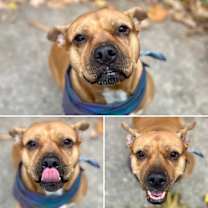 Thumbnail photo of Baby Girl #1