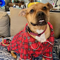 Thumbnail photo of Baby Girl #2