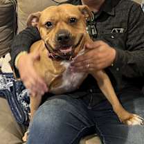 Thumbnail photo of Baby Girl #3