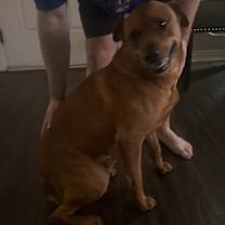 Thumbnail photo of Aury #3