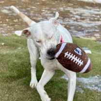 Thumbnail photo of Mya #4