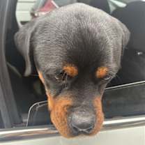 Thumbnail photo of Clif #2