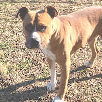 Thumbnail photo of Chase #3