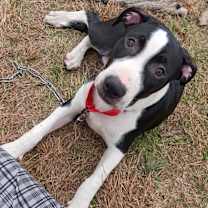 Thumbnail photo of Cleveland #1