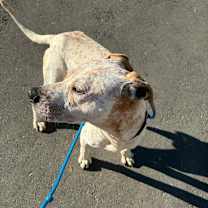 Thumbnail photo of Arctic  #3