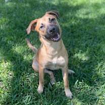 Thumbnail photo of Daffy #1