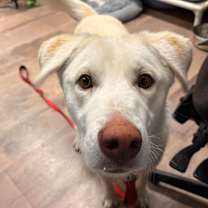 Thumbnail photo of Spike Lee #1