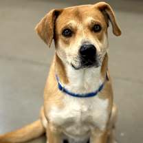 Thumbnail photo of Squash #1