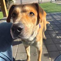 Thumbnail photo of Squash #2