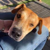 Thumbnail photo of Squash #3