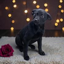 Thumbnail photo of Soulshine #1