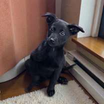 Thumbnail photo of Soulshine #2