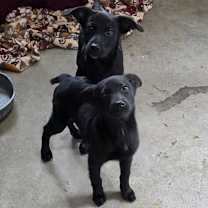 Thumbnail photo of Soulshine #3