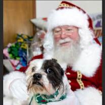 Thumbnail photo of Russell #2