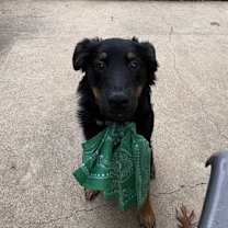 Thumbnail photo of Jingle #2