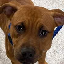 Thumbnail photo of 25-718 #1