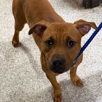 Thumbnail photo of 25-718 #2