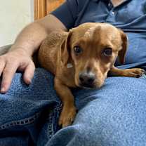 Thumbnail photo of George #1