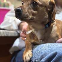 Thumbnail photo of George #3