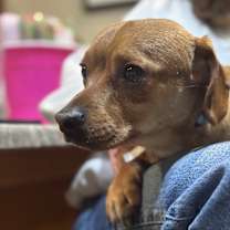 Thumbnail photo of George #4