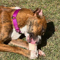 Thumbnail photo of Banks #2