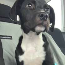 Thumbnail photo of Grace #1