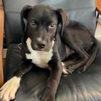 Thumbnail photo of Grace #2