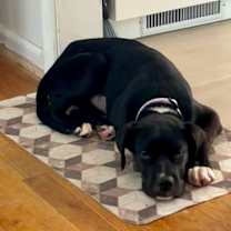 Thumbnail photo of Grace #3