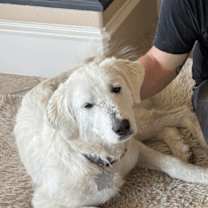 Thumbnail photo of Lilianna HTX #2