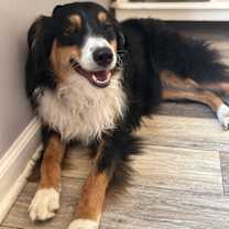 Thumbnail photo of Peanut #2