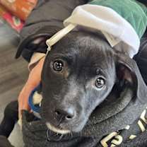 Thumbnail photo of Sally #2