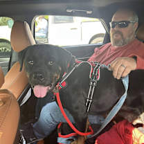 Thumbnail photo of Tori #2