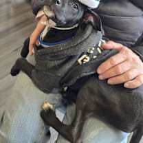 Thumbnail photo of Sally #3