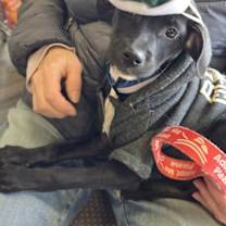 Thumbnail photo of Sally #4