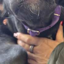 Thumbnail photo of Heidy #1