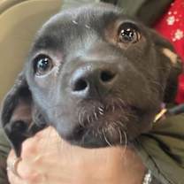 Thumbnail photo of Heidy #2