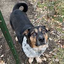 Thumbnail photo of Bingo #1