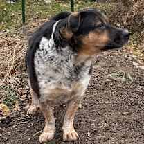 Thumbnail photo of Bingo #2