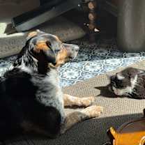 Thumbnail photo of Bingo #4