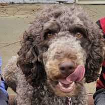 Thumbnail photo of Whisper #4