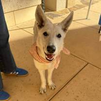 Thumbnail photo of Anna #4