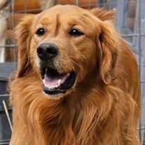 Thumbnail photo of Max #1